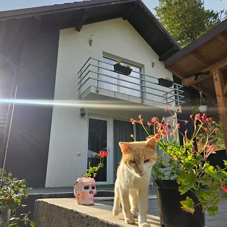 Vibe House Madisson