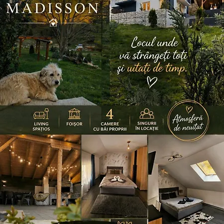 Vibe House Madisson Holiday home