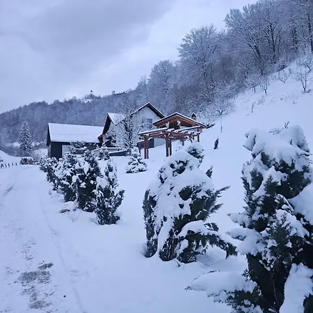 Vibe House Madisson Brasov