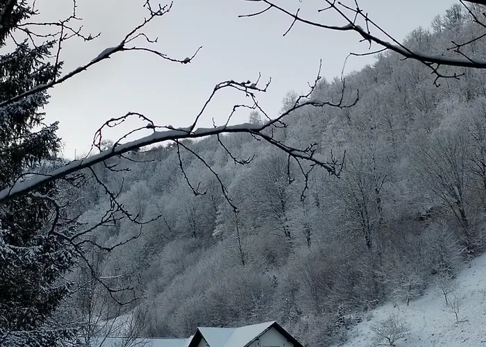 Vibe House Madisson Holiday home *