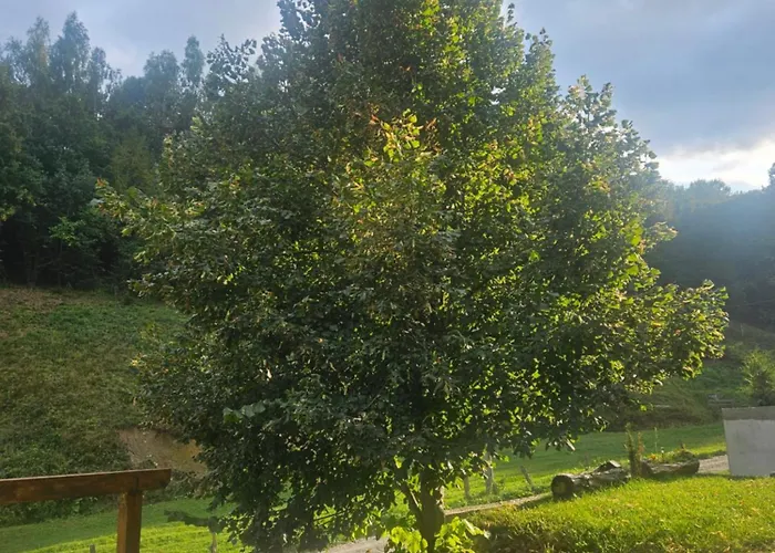 Holiday home Vibe House Madisson *